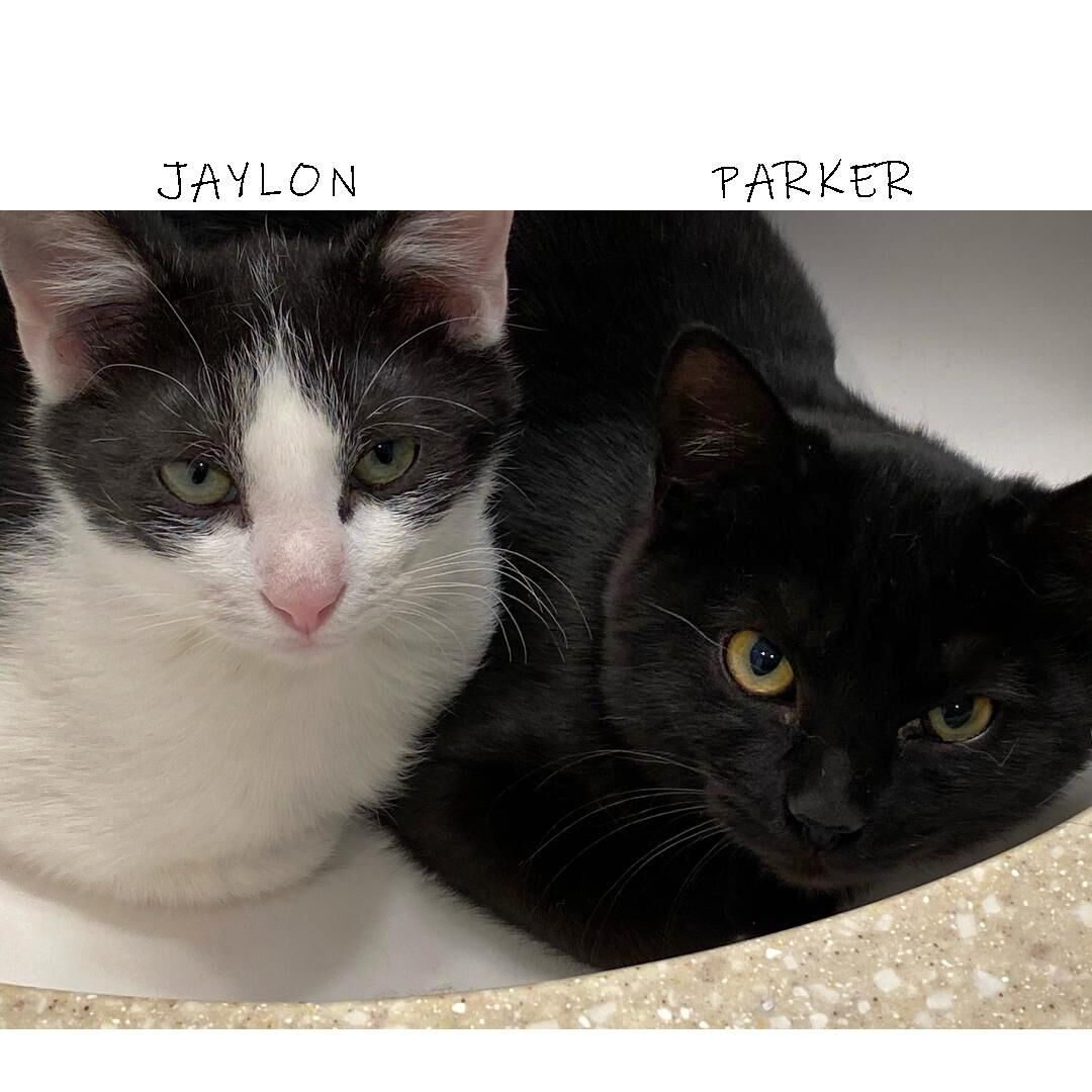 HART - Jaylon and Parker.jpg